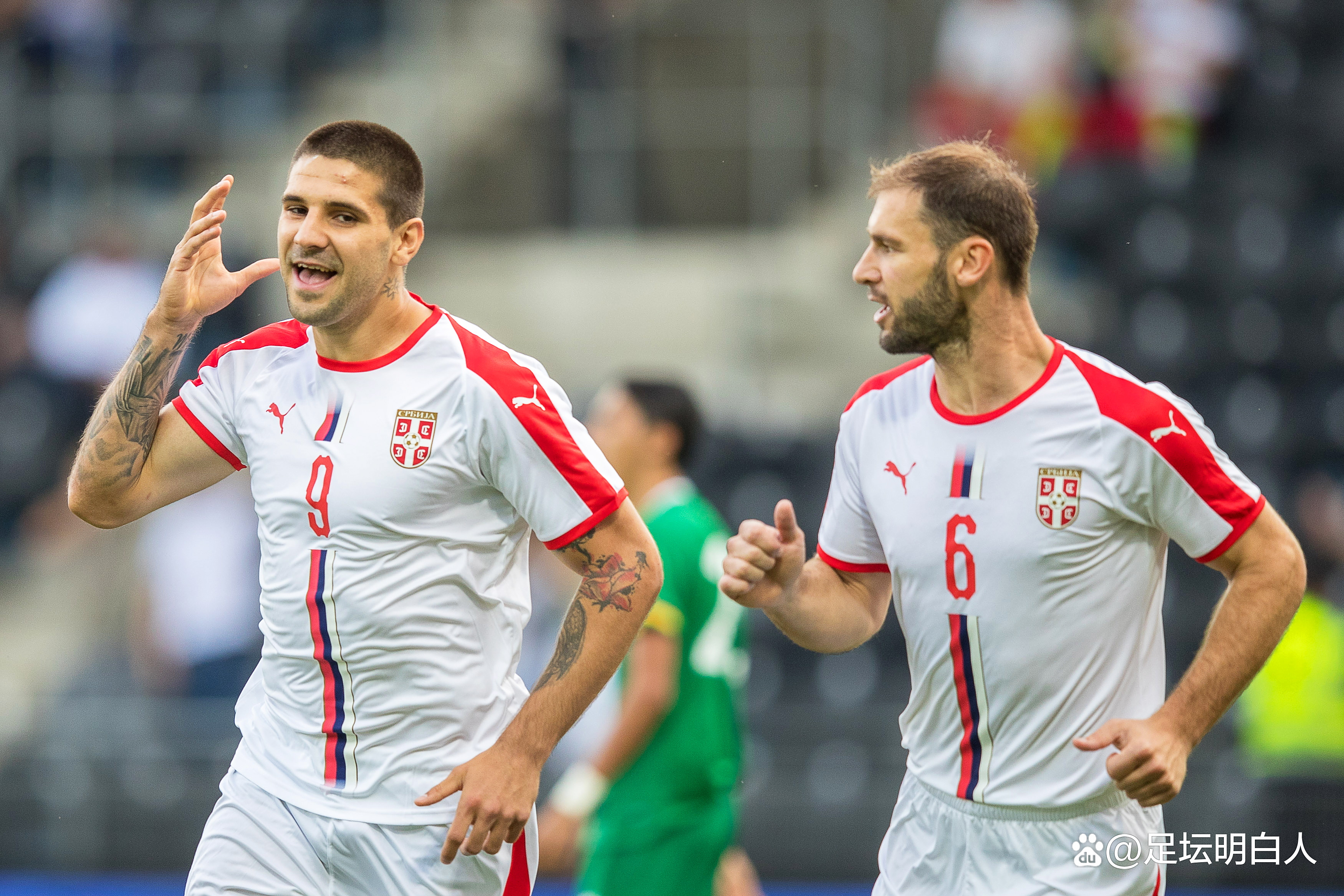 od体育视频-关于塞尔维亚严阵以待,备战欧洲杯预选赛的信息